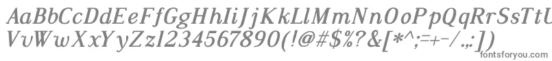 DustismoRomanItalicBold Font – Gray Fonts