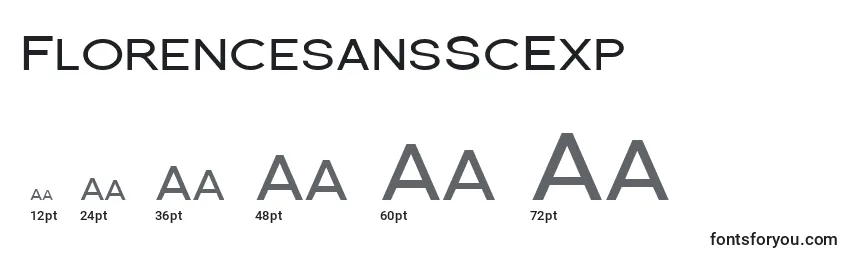 Размеры шрифта FlorencesansScExp
