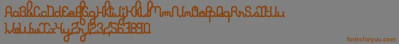 ALaNageboldPers2011 Font – Brown Fonts on Gray Background