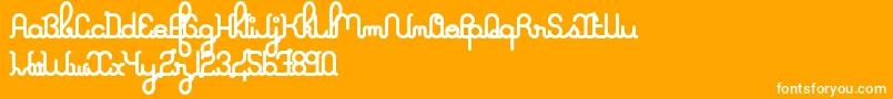 ALaNageboldPers2011 Font – White Fonts on Orange Background