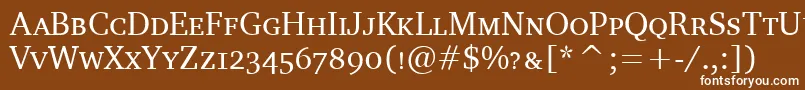 Шрифт CharterScItcTt – белые шрифты на коричневом фоне