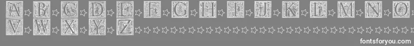 PictoGlyphs Font – White Fonts on Gray Background
