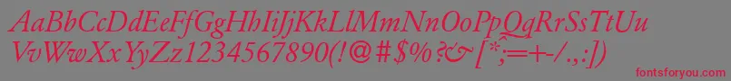 ClassicgarfeldItalic Font – Red Fonts on Gray Background