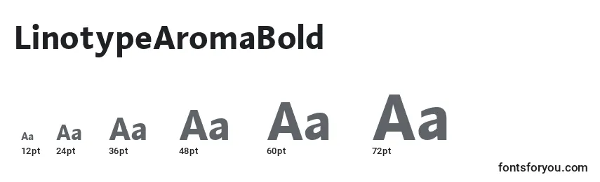 Размеры шрифта LinotypeAromaBold
