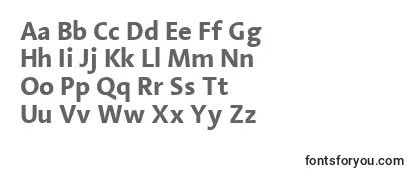 LinotypeAromaBold-fontti