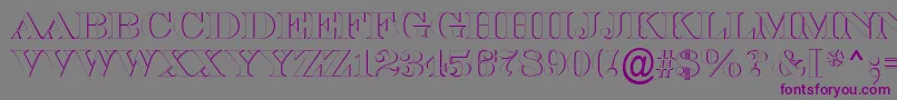 ASerifertitulsh-Schriftart – Violette Schriften auf grauem Hintergrund