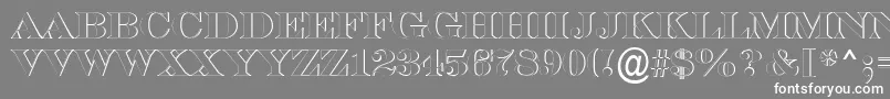 フォントASerifertitulsh – 灰色の背景に白い文字