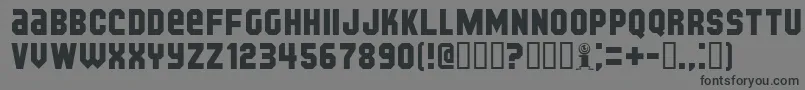 KijkwijzerBold Font – Black Fonts on Gray Background