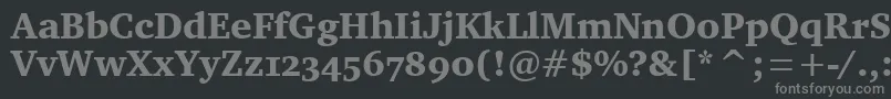 CharterOsItcTtBlack Font – Gray Fonts on Black Background