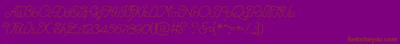 RenaniaTrash Font – Brown Fonts on Purple Background