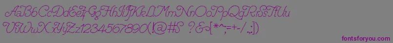 RenaniaTrash Font – Purple Fonts on Gray Background