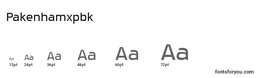 Размеры шрифта Pakenhamxpbk