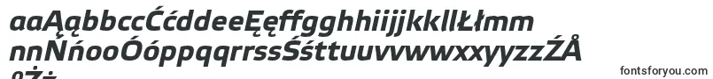 Шрифт ElektraTextProBoldItalic – польские шрифты