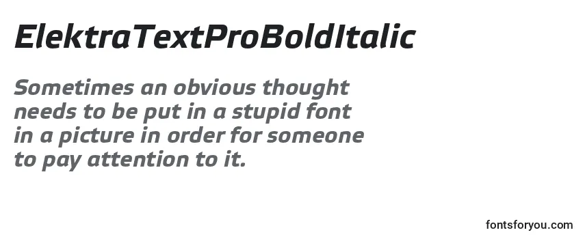 ElektraTextProBoldItalic Font