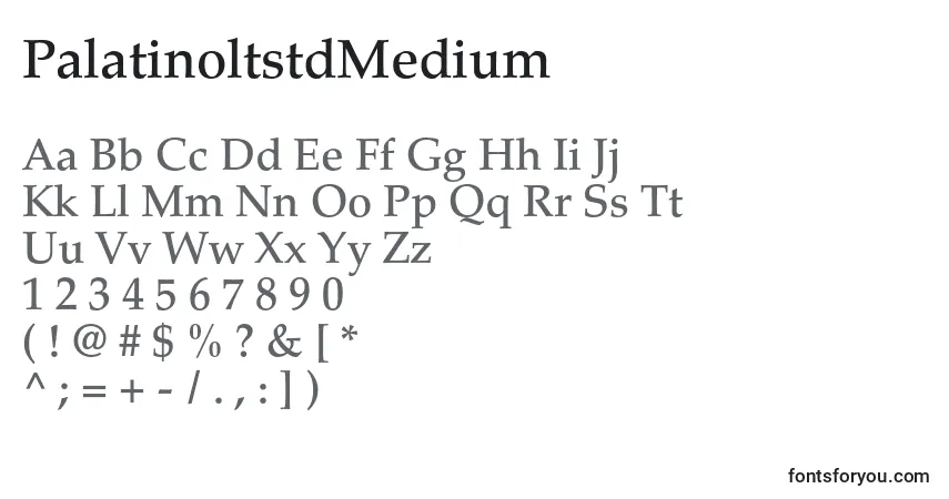 Czcionka PalatinoltstdMedium – alfabet, cyfry, specjalne znaki