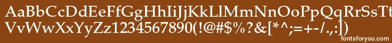 フォントPalatinoltstdMedium – 茶色の背景に白い文字