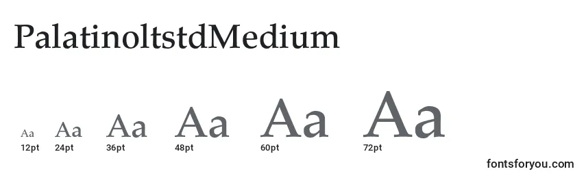 Размеры шрифта PalatinoltstdMedium