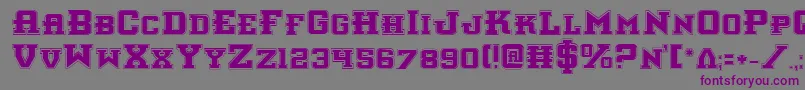 フォントInterceptorPro – 紫色のフォント、灰色の背景