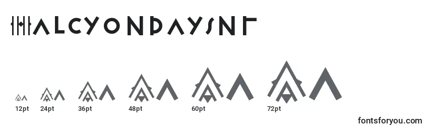 Размеры шрифта Halcyondaysnf (54835)