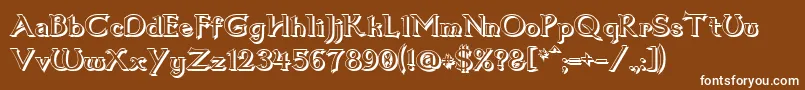 フォントDum1shad – 茶色の背景に白い文字