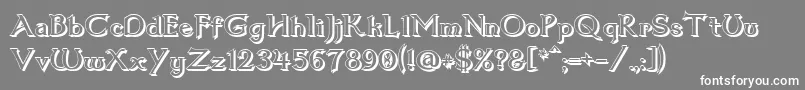 フォントDum1shad – 灰色の背景に白い文字