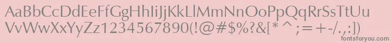 ZapfHumanist601Bt Font – Gray Fonts on Pink Background