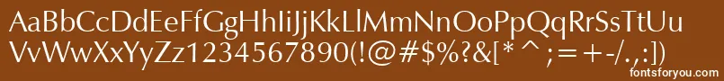 ZapfHumanist601Bt Font – White Fonts on Brown Background