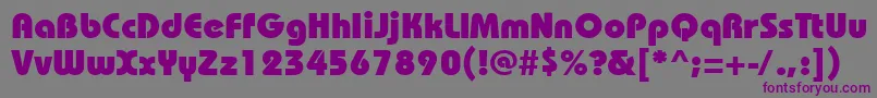 Bauhausheavyctt Font – Purple Fonts on Gray Background