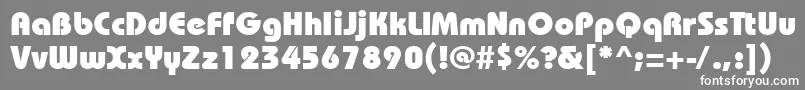 Bauhausheavyctt Font – White Fonts on Gray Background