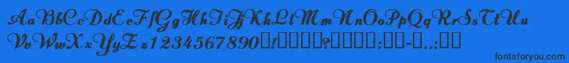 ValletortsskBold Font – Black Fonts on Blue Background