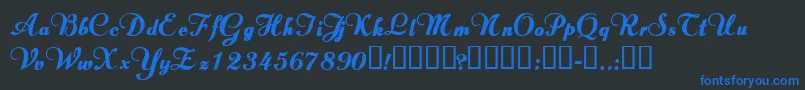 ValletortsskBold Font – Blue Fonts on Black Background