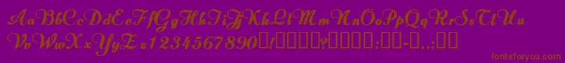 ValletortsskBold Font – Brown Fonts on Purple Background