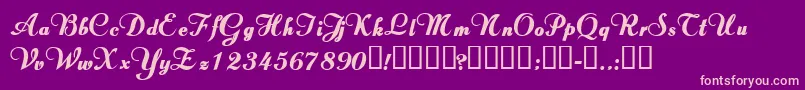 ValletortsskBold Font – Pink Fonts on Purple Background