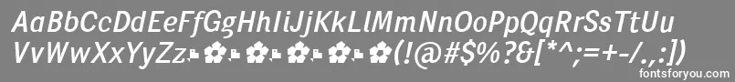PentaySansRegularItalic Font – White Fonts on Gray Background