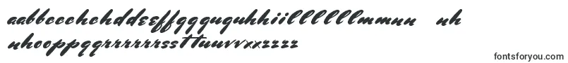フォントBluelminRonald – ガリシア文字