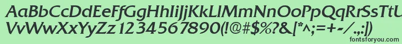 QuadratBoldItalic Font – Black Fonts on Green Background