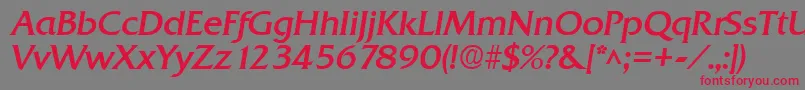 QuadratBoldItalic Font – Red Fonts on Gray Background
