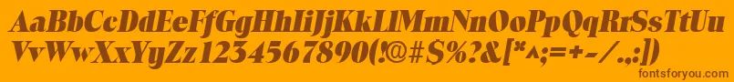 ToledolhBoldItalic Font – Brown Fonts on Orange Background
