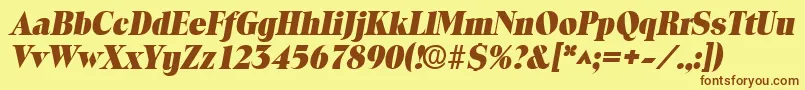 ToledolhBoldItalic Font – Brown Fonts on Yellow Background