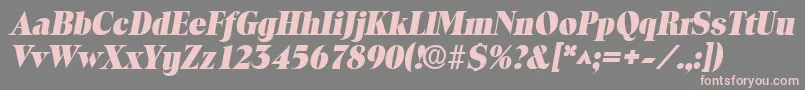 ToledolhBoldItalic Font – Pink Fonts on Gray Background
