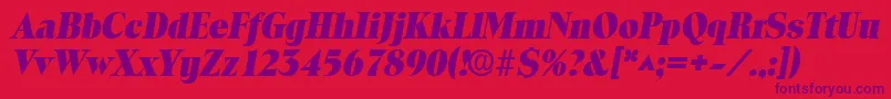 ToledolhBoldItalic Font – Purple Fonts on Red Background