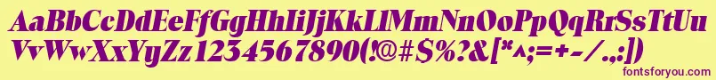 ToledolhBoldItalic Font – Purple Fonts on Yellow Background