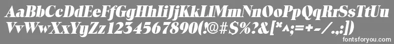ToledolhBoldItalic Font – White Fonts on Gray Background