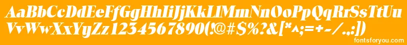 ToledolhBoldItalic Font – White Fonts on Orange Background