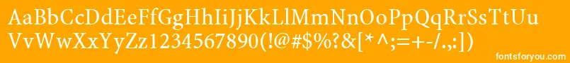 MinionWeb Font – White Fonts on Orange Background