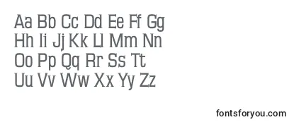 Обзор шрифта Mkseriftallxmedium
