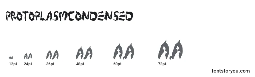 ProtoplasmCondensed Font Sizes