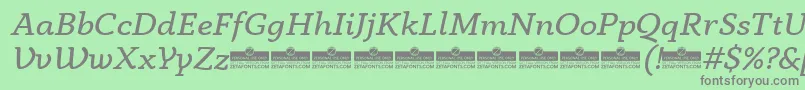 AnaphoraBookItalicTrial Font – Gray Fonts on Green Background