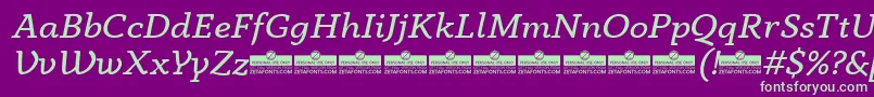 AnaphoraBookItalicTrial Font – Green Fonts on Purple Background