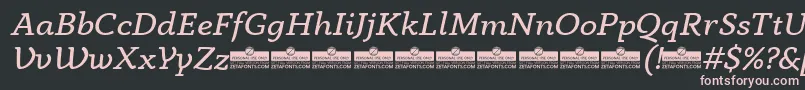 AnaphoraBookItalicTrial Font – Pink Fonts on Black Background